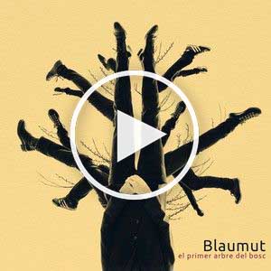 blaumut - el primer arbre del bosc